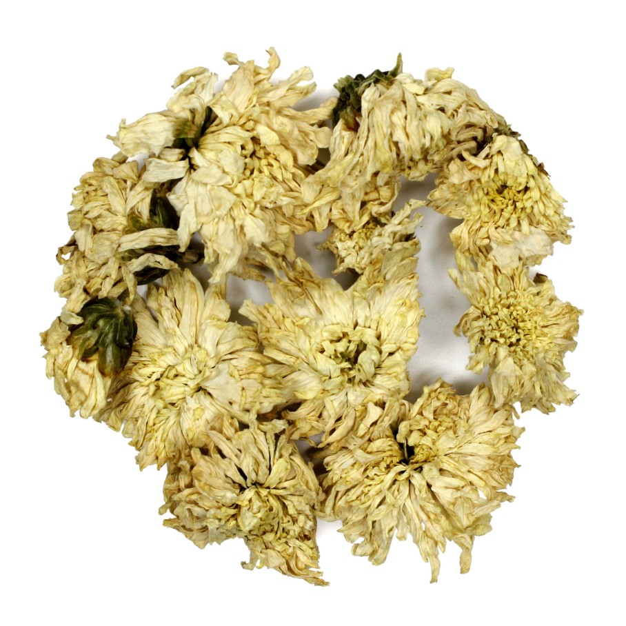 Herbals My Store | White Chrysanthemum Flowers