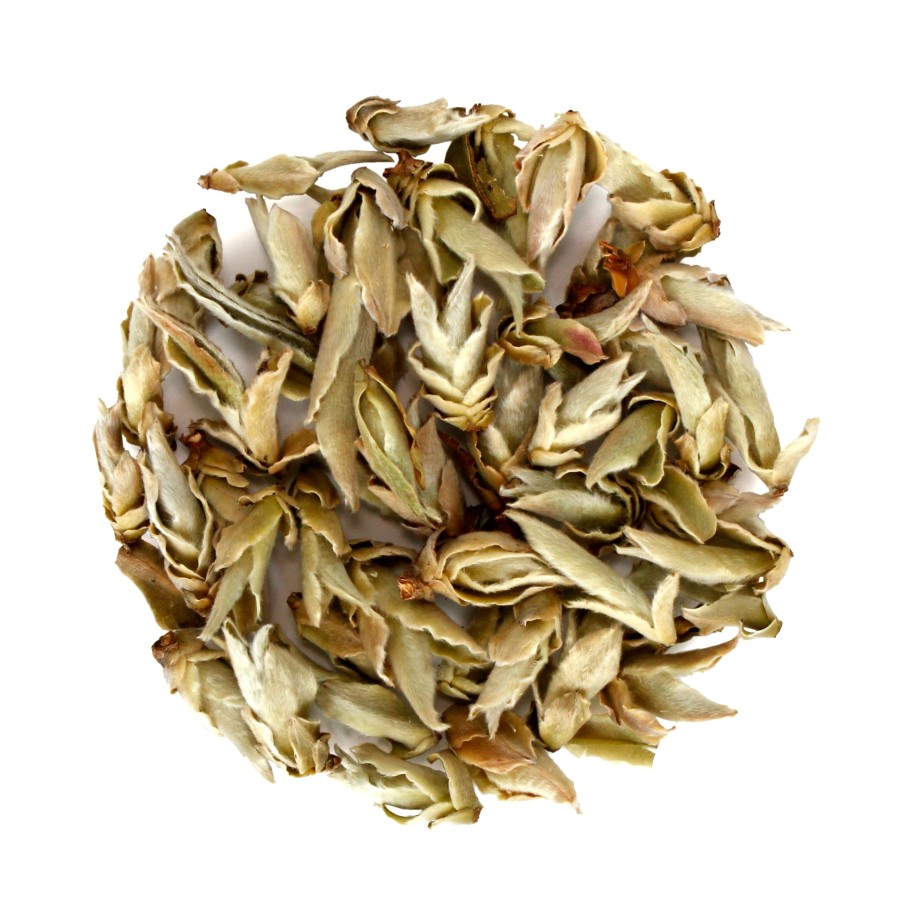 White Tea My Store | White Wild Tea Buds