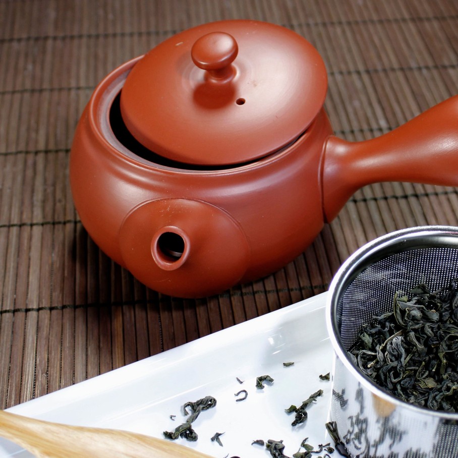 Teaware MEM TEA | Red Kyusu (Side Handle Teapot) - 12 Oz